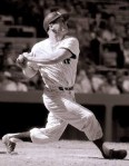 mickey mantle