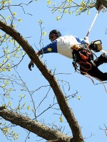 Lumpenproletariat Revisited