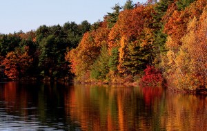 Walden Pond Autumn