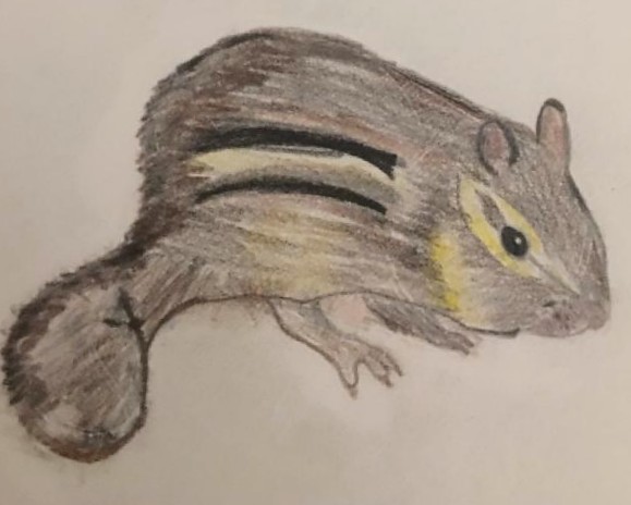 Ellie's chipmunk