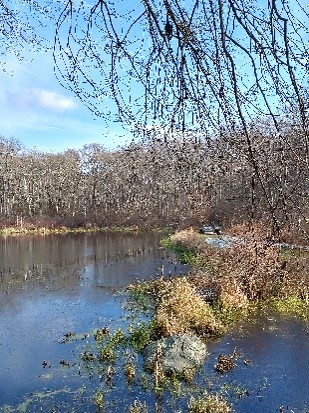 Norman Bird Sanctuary